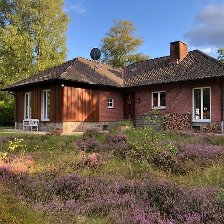Landhaus Mitten In Der Lueneburger Heide Undeloh Extérieur photo
