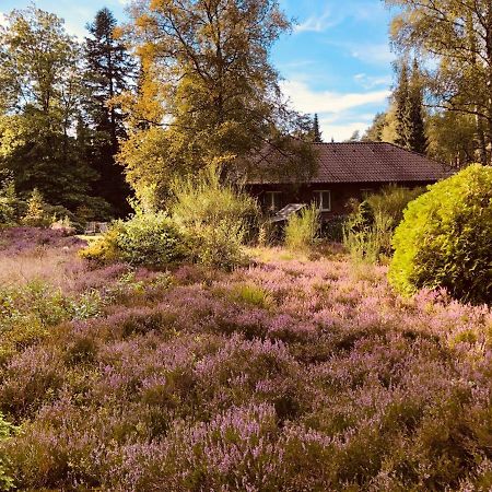 Landhaus Mitten In Der Lueneburger Heide Undeloh Extérieur photo
