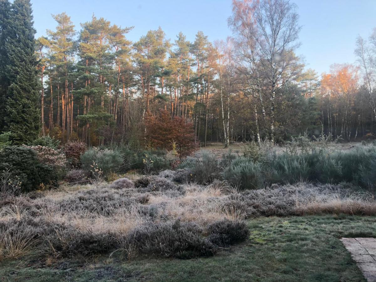 Landhaus Mitten In Der Lueneburger Heide Undeloh Extérieur photo