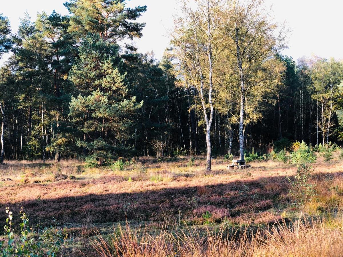 Landhaus Mitten In Der Lueneburger Heide Undeloh Extérieur photo